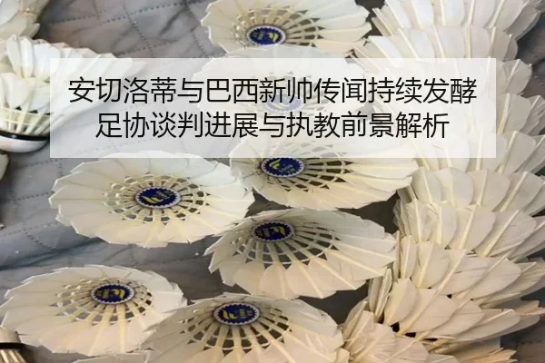 安切洛蒂与巴西新帅传闻持续发酵 足协谈判进展与执教前景解析